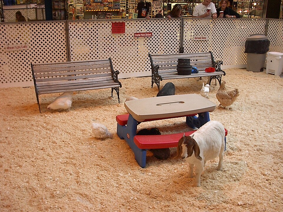Kinderboerderij ’t Eiterse hofje